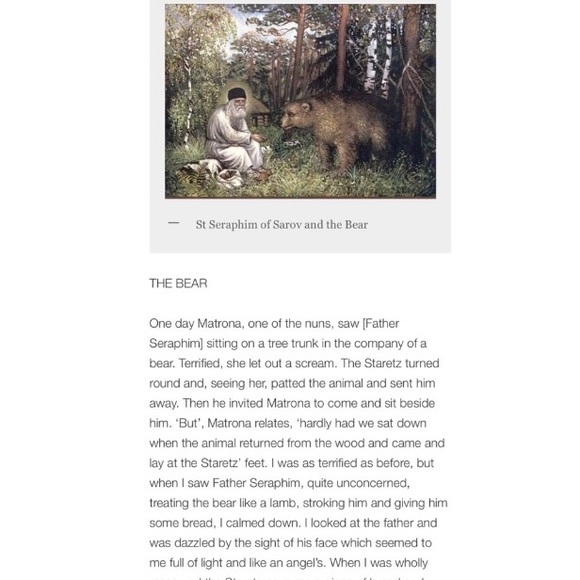 NWT embroidered Acquire Peace Forest Bear hoodie - Picture 7 of 10